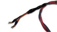 Load image into Gallery viewer, Legacy X20 Speaker Cables by CH Acoustic