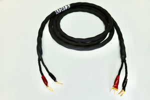 ONIX Speaker Cables by CH Acoustic