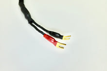 Load image into Gallery viewer, ONIX Speaker Cables by CH Acoustic